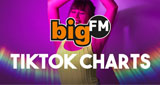bigFM TikTok Charts