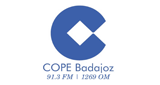Cadena COPE (海马兹) 91.3 MHz