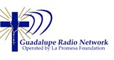 Guadalupe Radio Network (弗里斯科) 910 MHz
